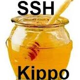 KIPPO – SSH Honeypot