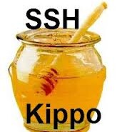 KIPPO – SSH Honeypot
