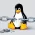 Novas vulnerabilidades no Linux