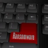 Golpes exploram a confiança em serviços populares