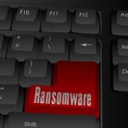 Golpes exploram a confiança em serviços populares