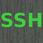 Quebra de senha SSH utilizando Hydra – Kali Linux