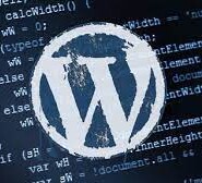 Falhas de execução remota de código corrigidas no plug-in do gerenciador de download do WordPress